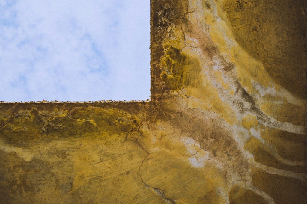Water staining on a ceiling — the visible signal that often precedes hidden mold growth in the cavity above.