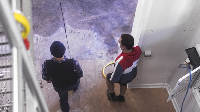 Who to Call for Mold Inspection: A Plain-Language 2026 Guide