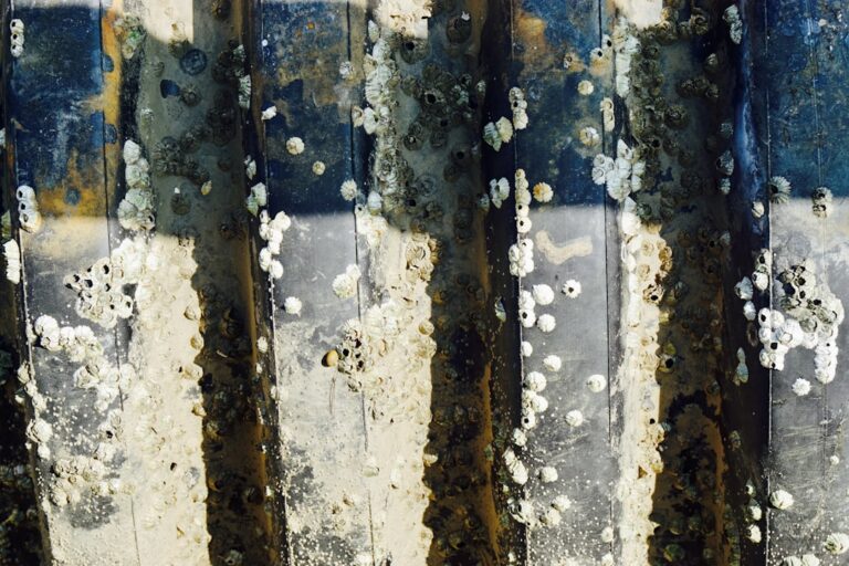 Air Mold Testing: How Spore-Trap Sampling Actually Works