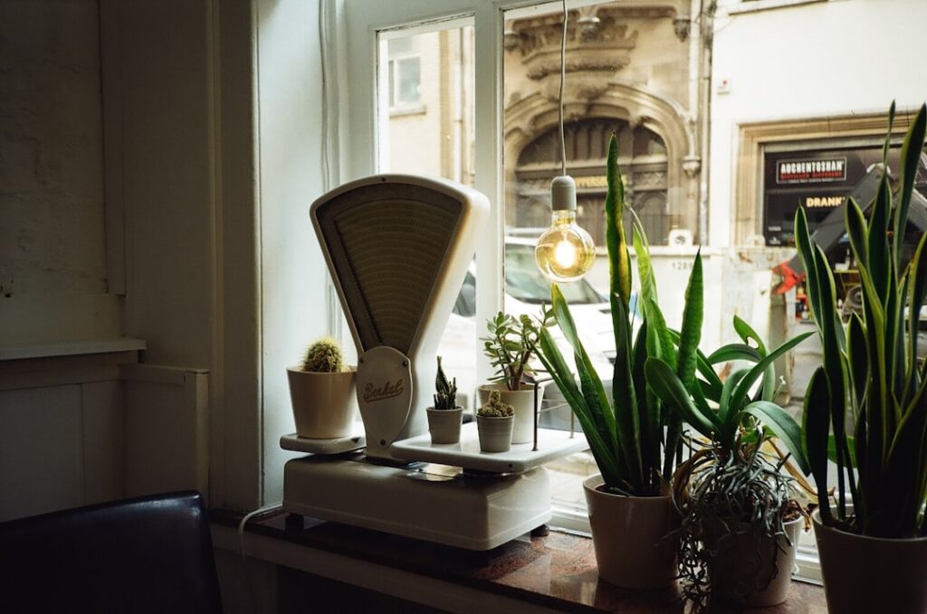 Photo via Unsplash by Ira Komornik