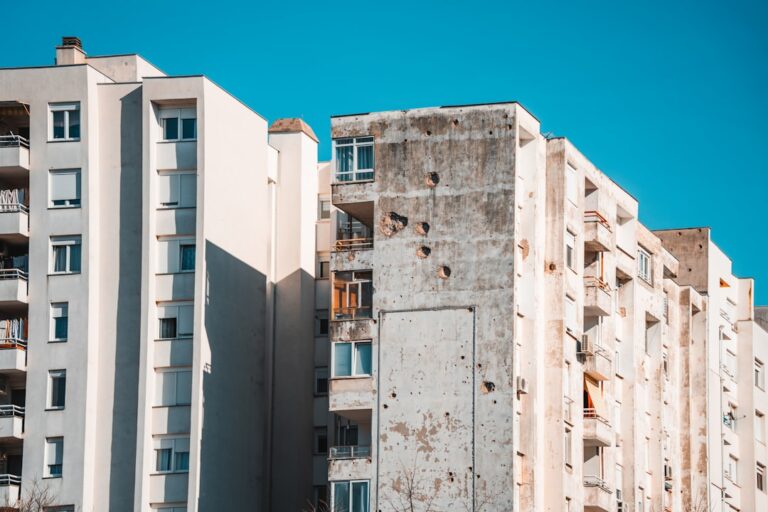 Free Mold Inspection for Renters: Options and Limits