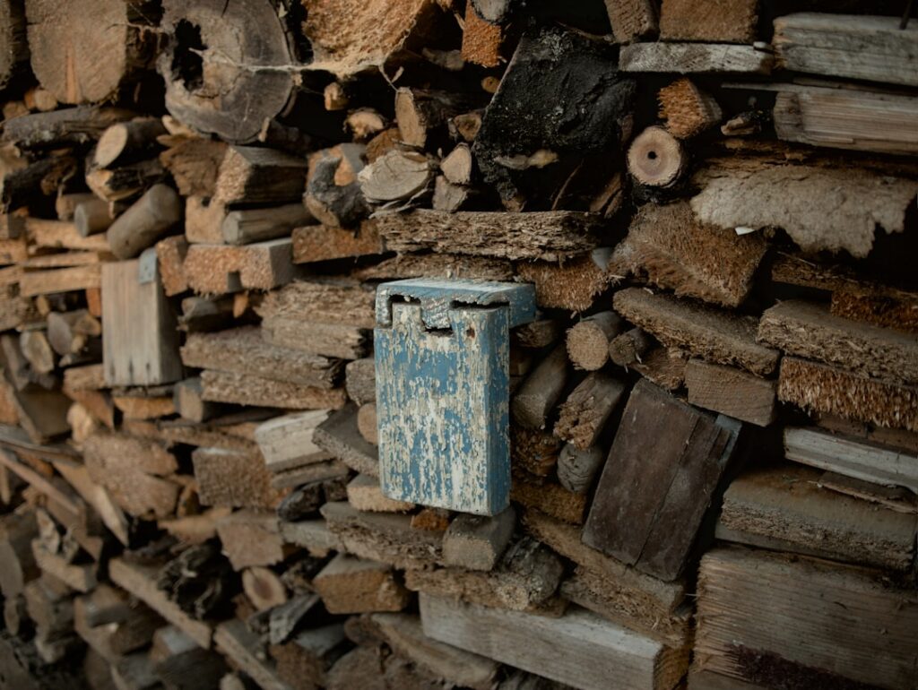 Photo via Unsplash by Bashy