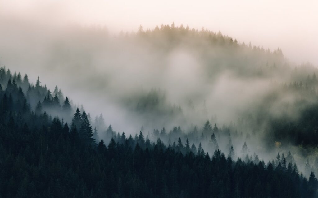 Pacific Northwest home