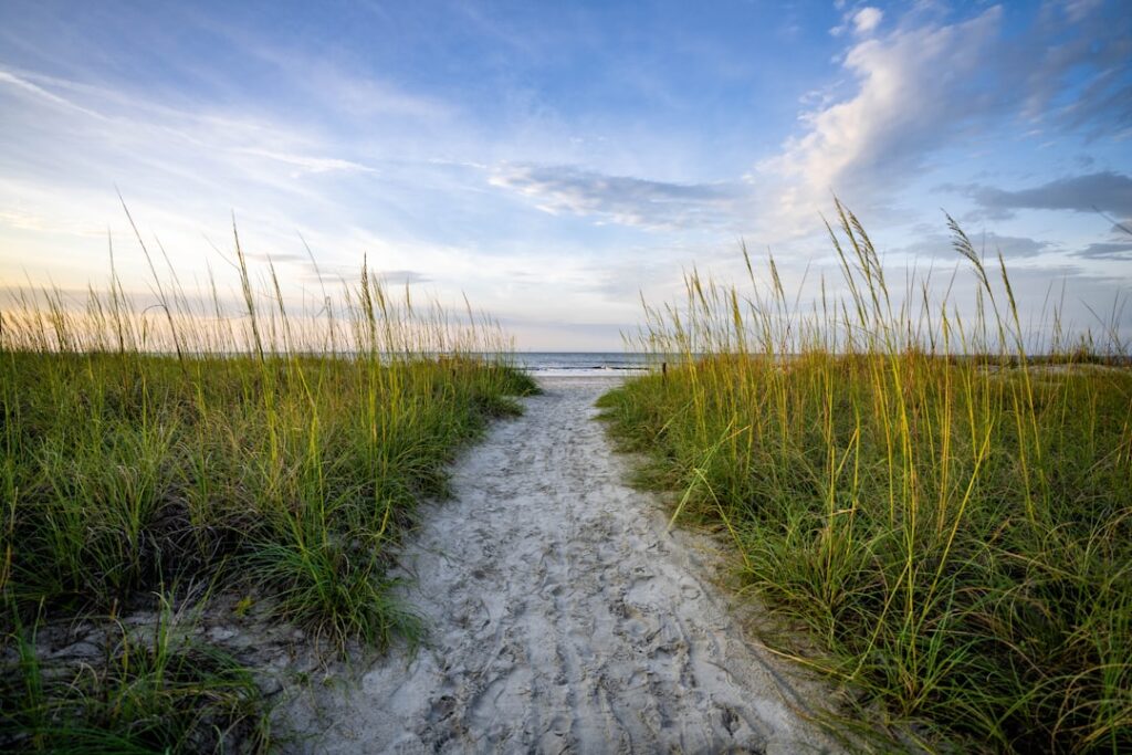 South Carolina coastal