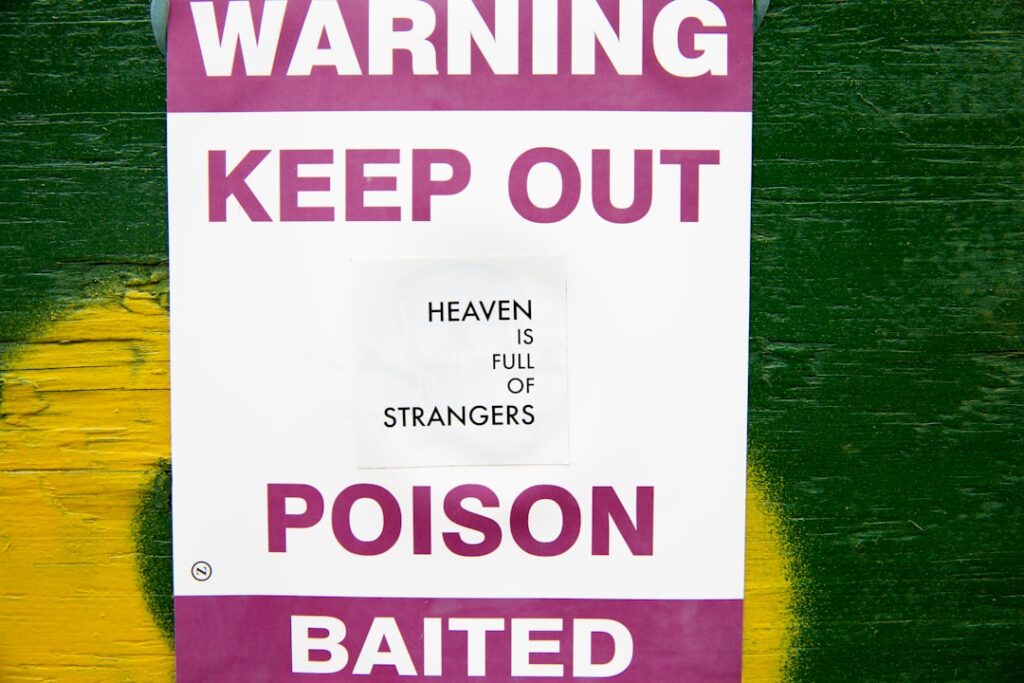 Photo via Unsplash by New York Said