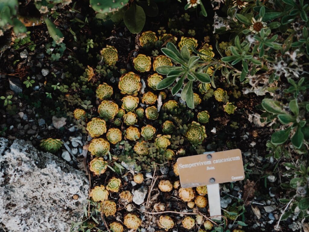 Photo via Unsplash by Anastasia Zhenina