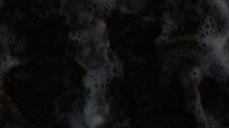 Is Mold Always Black: A Plain-Language Color Guide