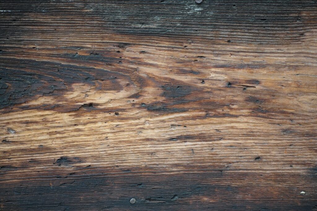 Photo via Unsplash by engin akyurt