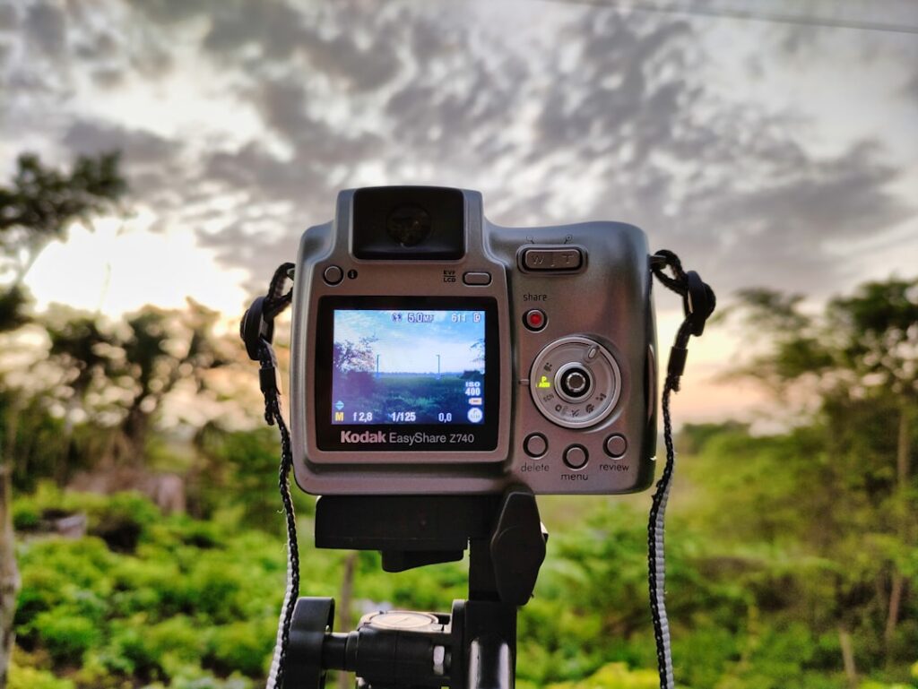 Photo via Unsplash by Jesus Audon hialgo