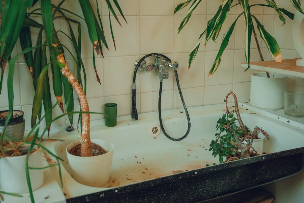 Photo via Unsplash by Zuzana Kacerová