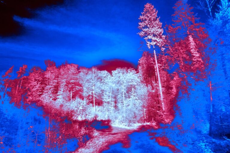 Affordable Thermal Imaging: What Homeowners Need to Know