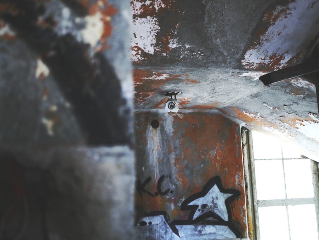 Photo via Unsplash by Aiste Katkute