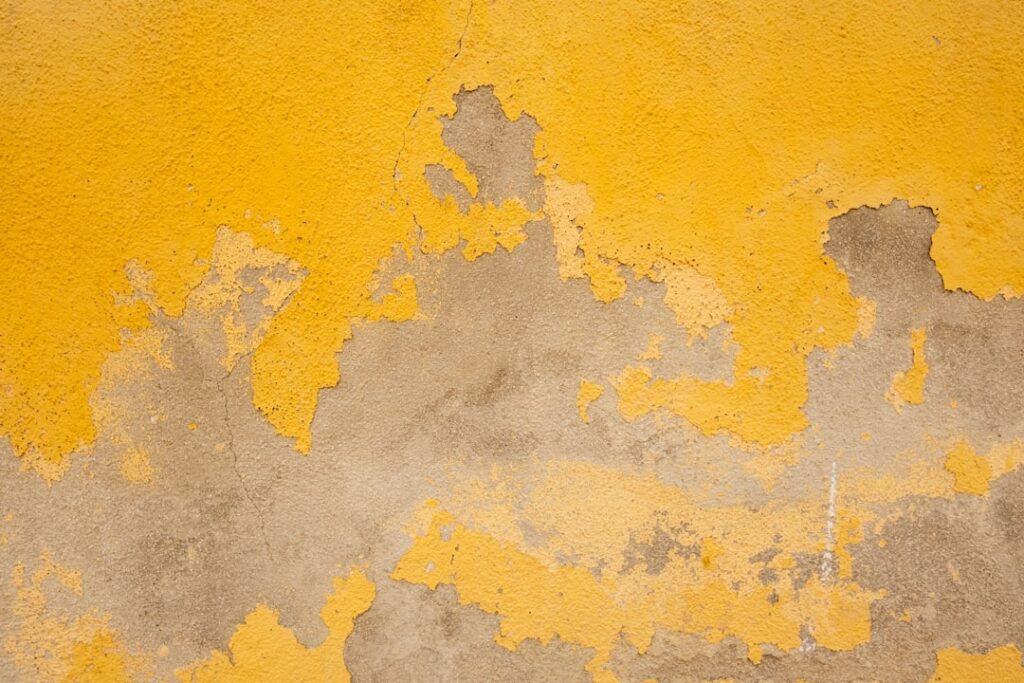 Photo via Unsplash by Jelena Lapina