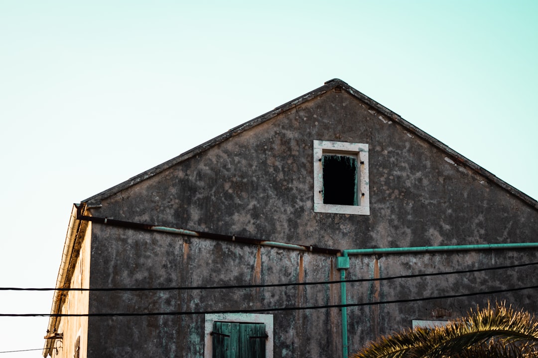 What Does Mold in House Look Like? Visual ID Guide - InspectandTest