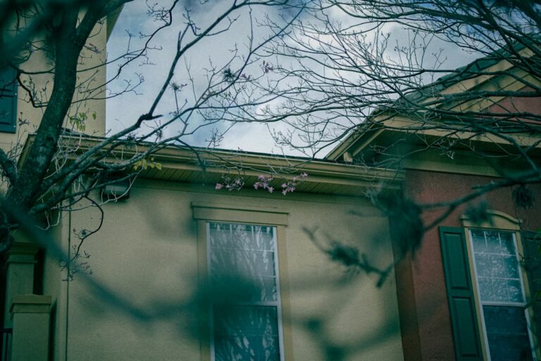 Most Common Mold in Homes: ID Guide