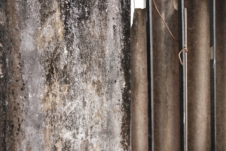 Lead and Asbestos Testing: A Homeowner’s Guide