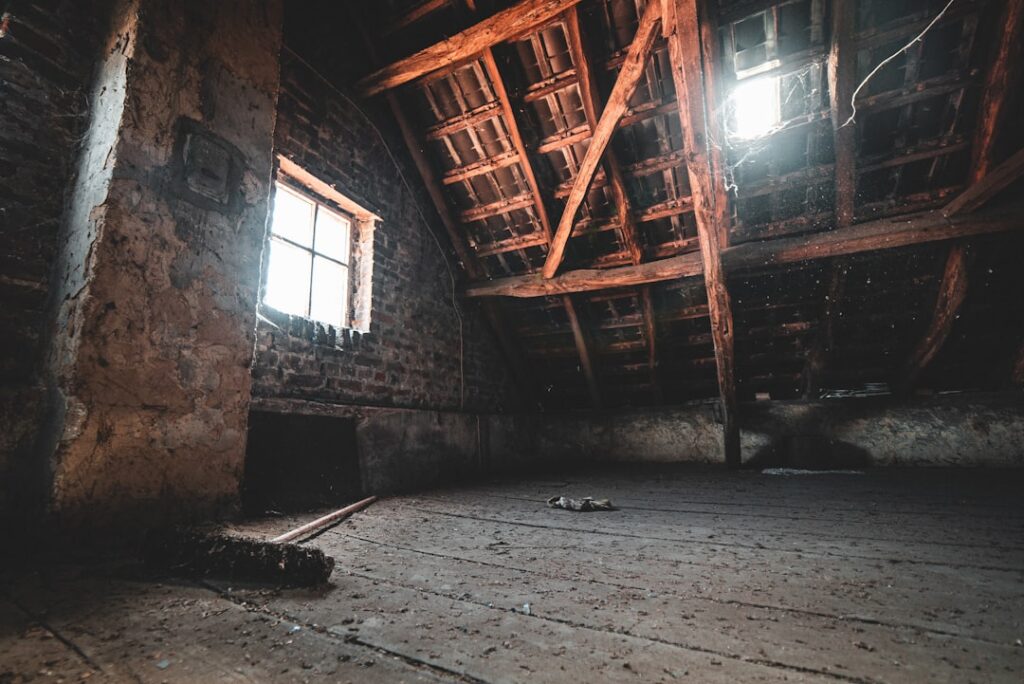 Photo via Unsplash by Mika Baumeister