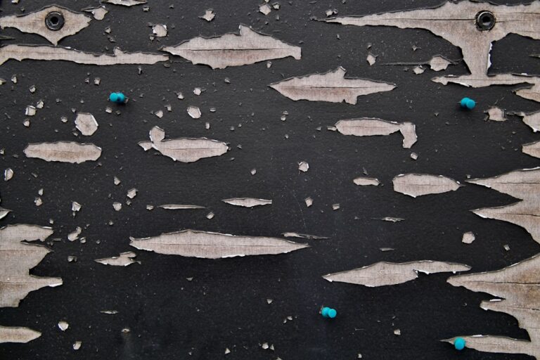 Black Pin Mold: What Pinpoint Dark Spots Mean at Home