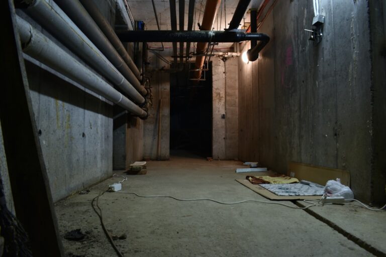 Is the Mold in My Basement Dangerous? A Clear Guide