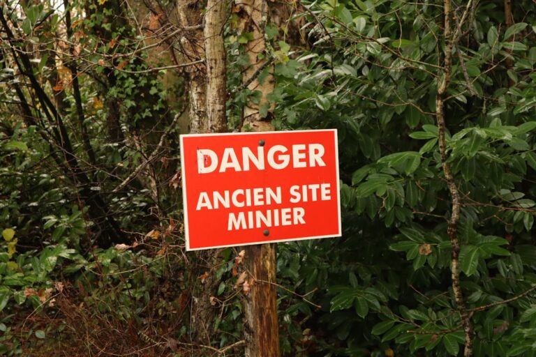 Radon Mitigation Companies: What to Know
