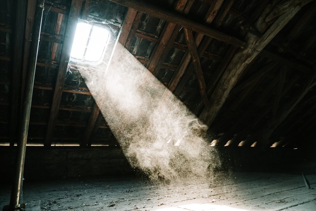 Photo via Unsplash by Mika Baumeister