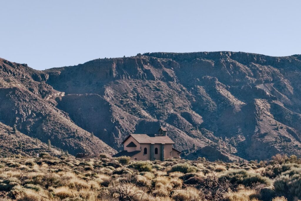 Photo via Unsplash by Bodega