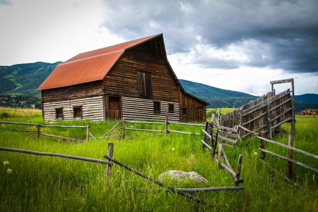 Photo via Unsplash by Mick Haupt