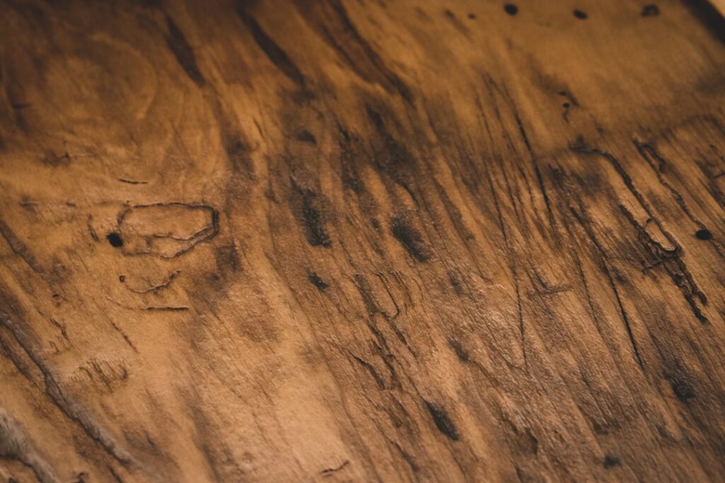 Photo via Unsplash by Stephanie Moody