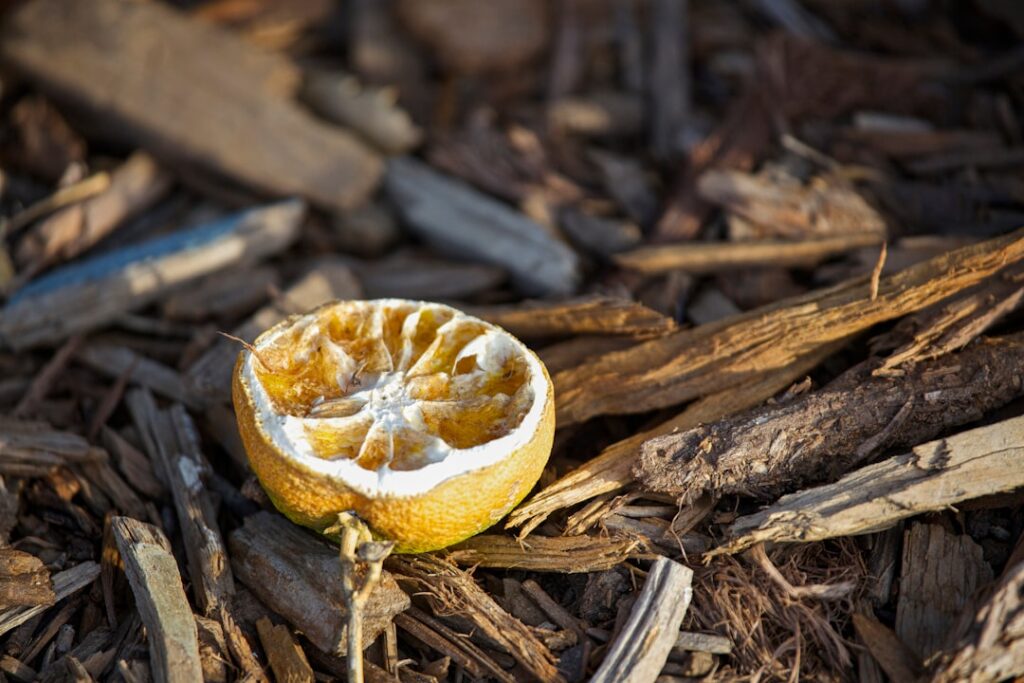 Photo via Unsplash by Matthew Mentley