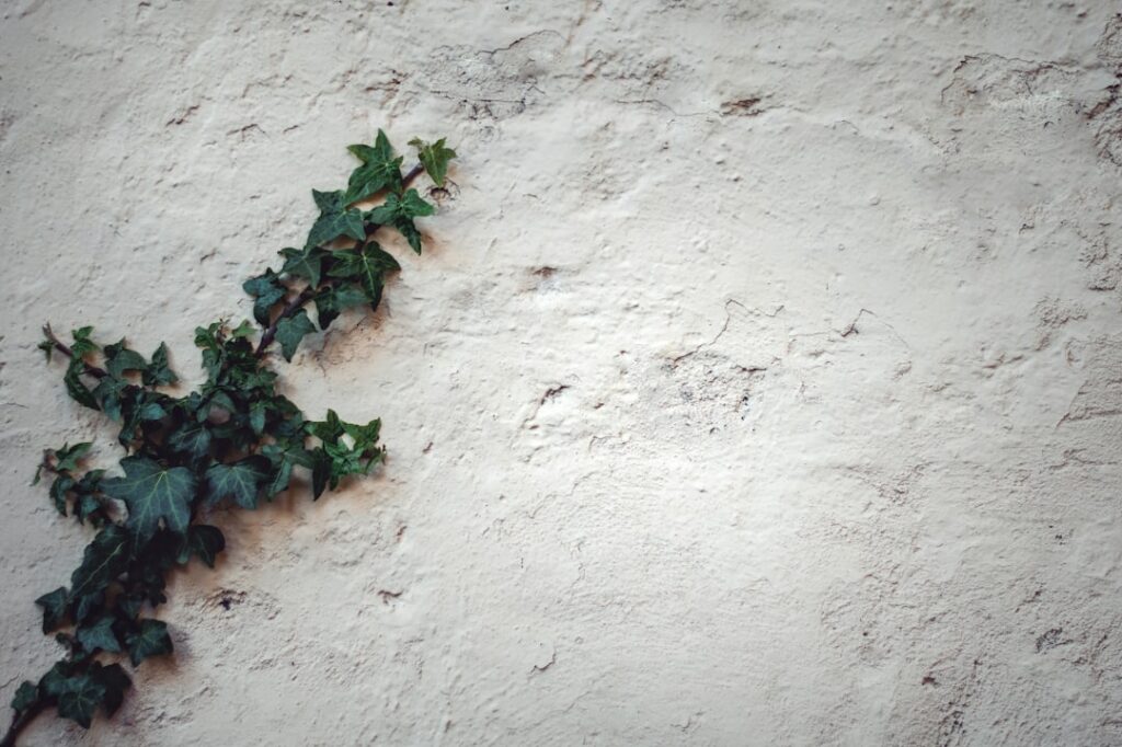 Photo via Unsplash by Tim Mossholder