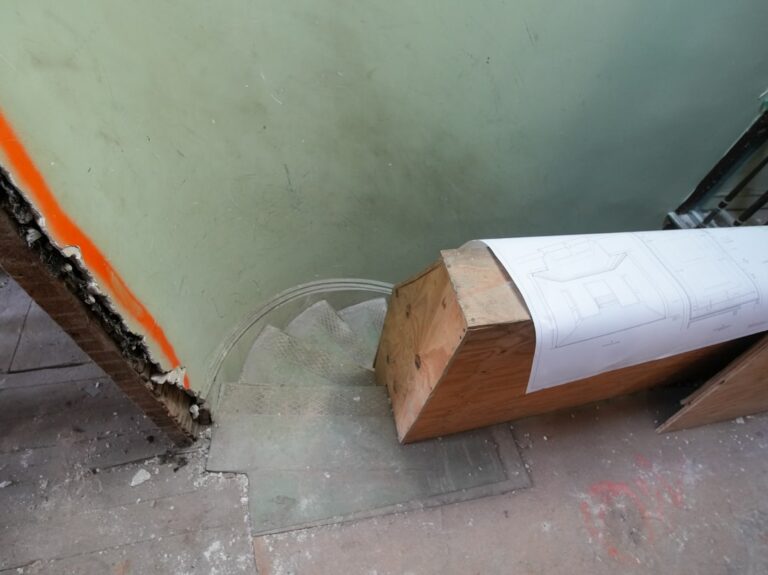 Mold Under House: What Homeowners Need to Know