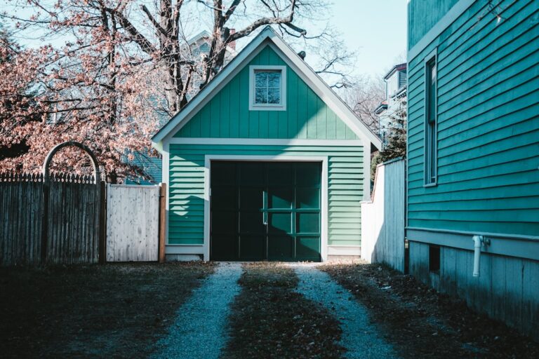 Mold in Garage: What Homeowners Need to Know