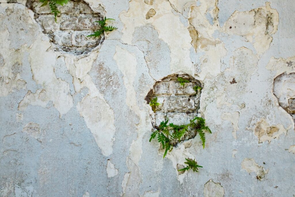 Photo via Unsplash by W. D.
