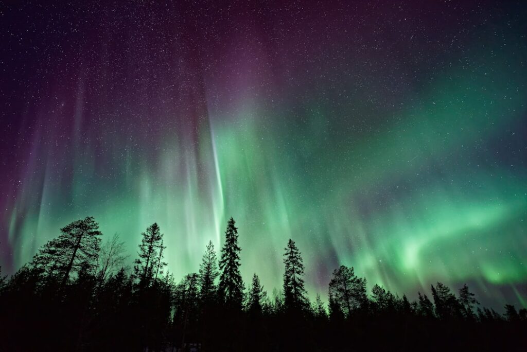 Photo via Unsplash by Vincent Guth