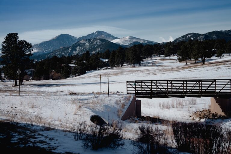 Thermal Imaging Inspection in Estes Park, CO