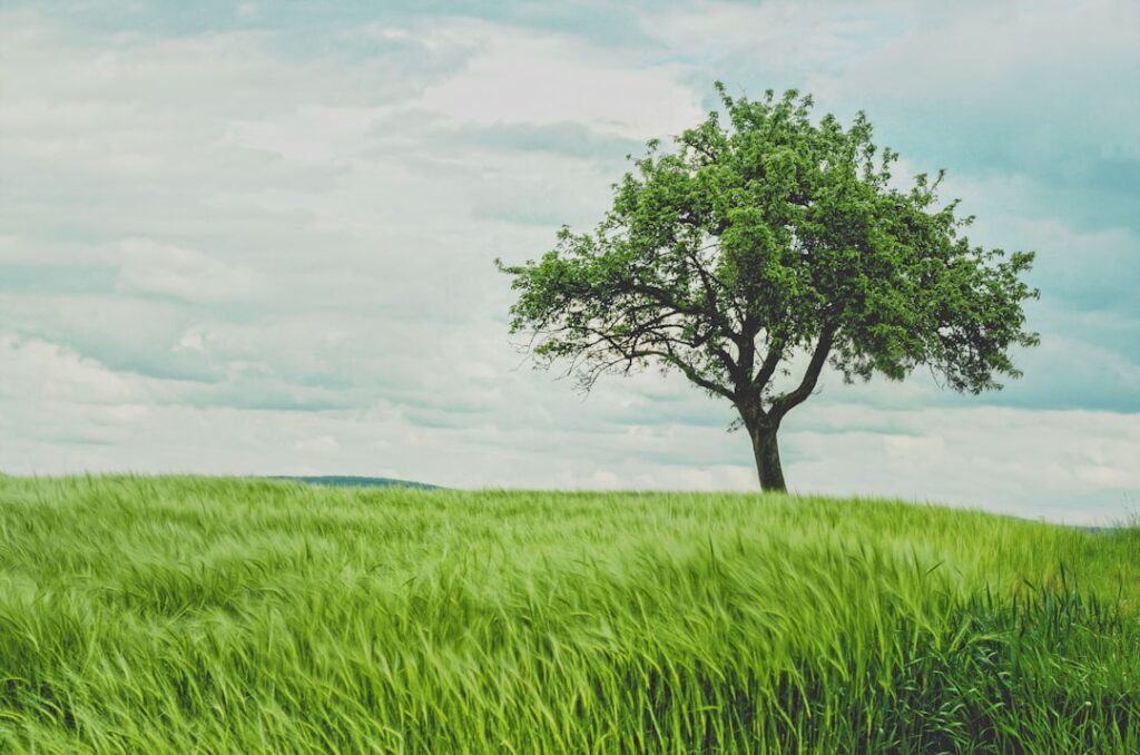 Photo via Unsplash by Johann Siemens