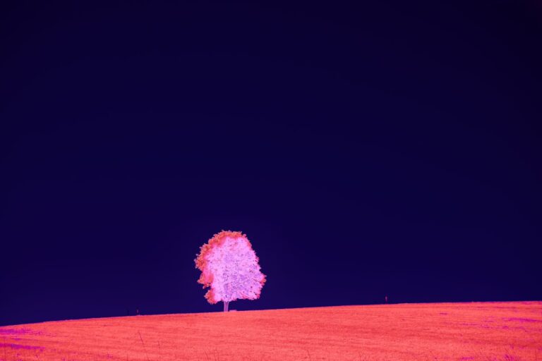 Thermal Imaging Inspection Lone Tree, CO | InspectandTest