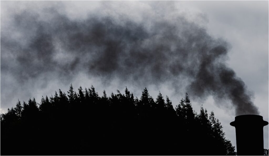 Photo via Unsplash by Hugh Green