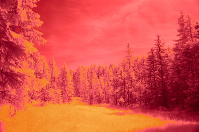 Thermal Imaging Inspection Conifer, CO