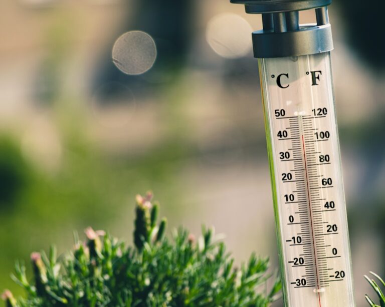 Hydrometer vs Hygrometer: Differences, Uses, and Accuracy