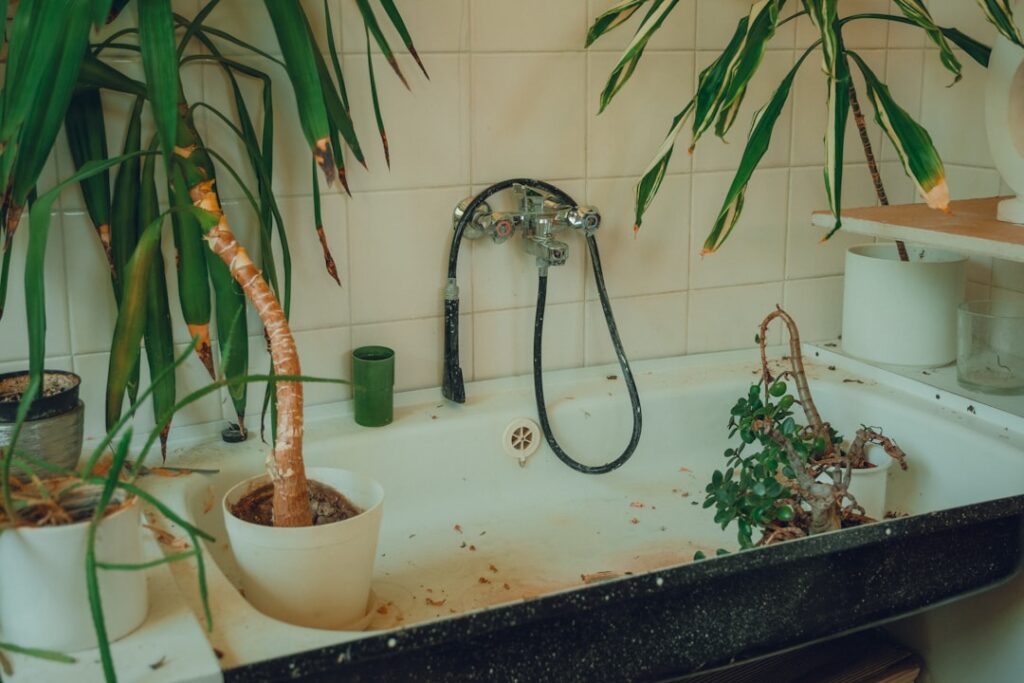 Photo via Unsplash by Zuzana Kacerová