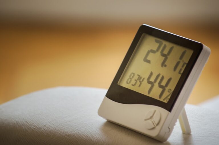 Thermo Hygrometer: What Homeowners Need to Know