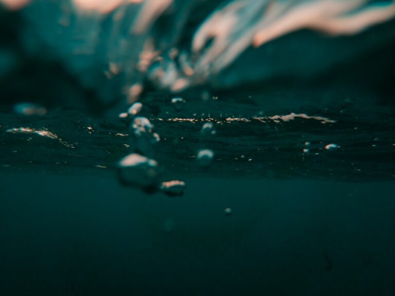 Mold in Water: What Homeowners Need to Know
