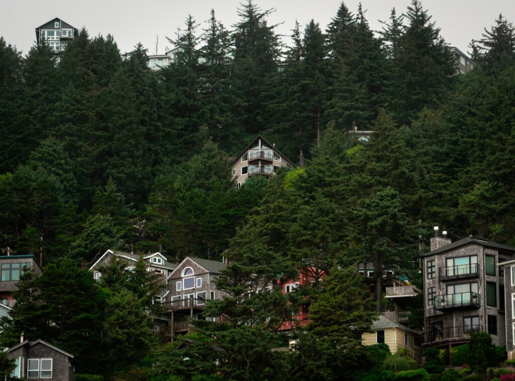 Photo via Unsplash by James Sestric