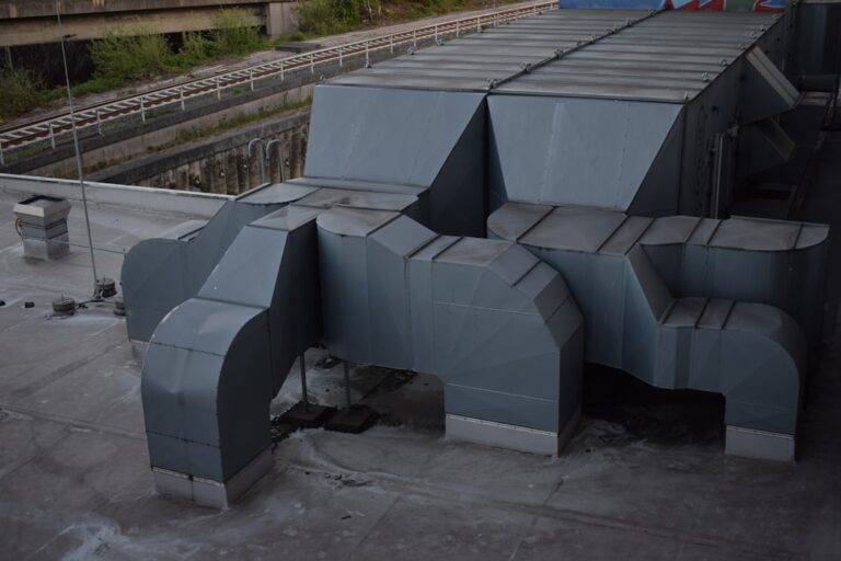 Air Duct Mold Cleaning: What Homeowners Should Know