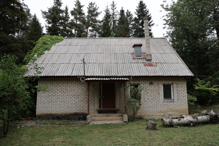 Natural Asbestos: What Homeowners Need to Know