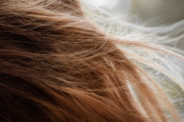 Mold That Looks Like Hair: Causes, Look-Alikes and Fixes