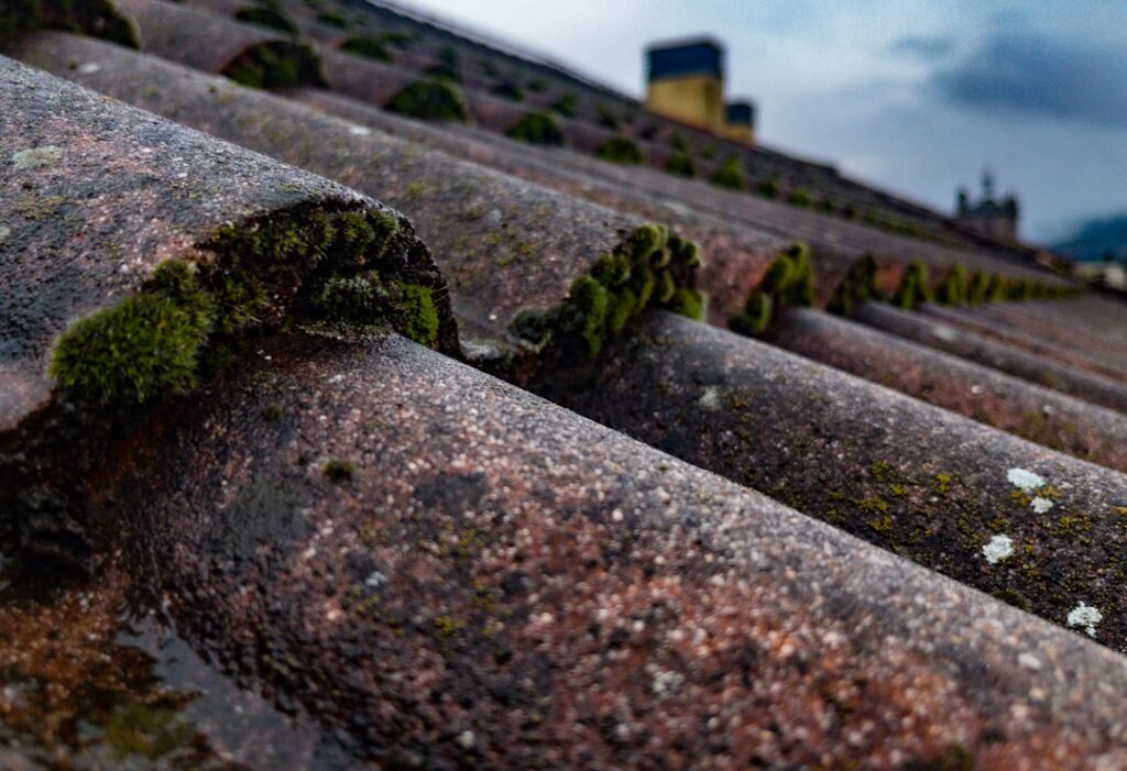 Photo via Unsplash by Alvaro Araoz