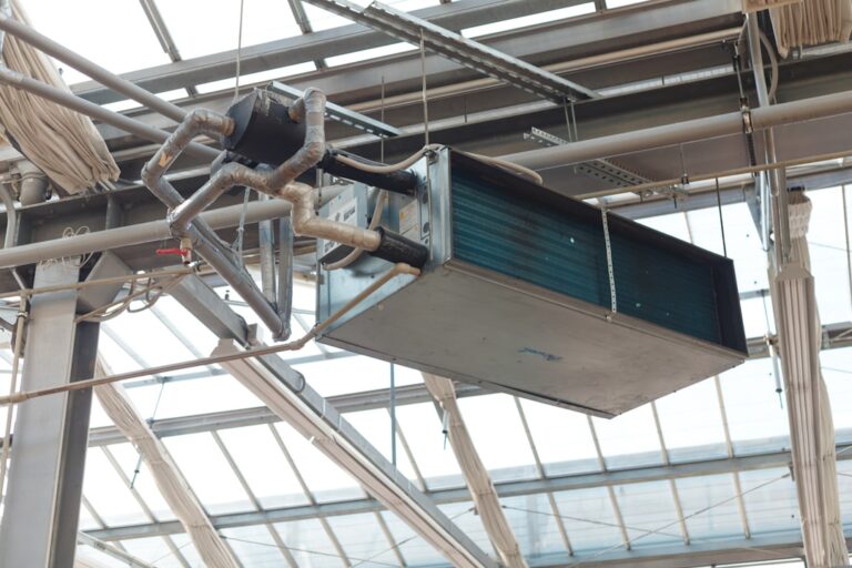 Mold in Air Handler: What Homeowners Need to Know