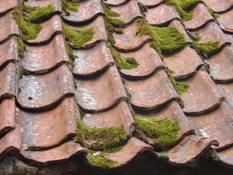 How to Remove Asbestos Tile: A Plain-Language Guide